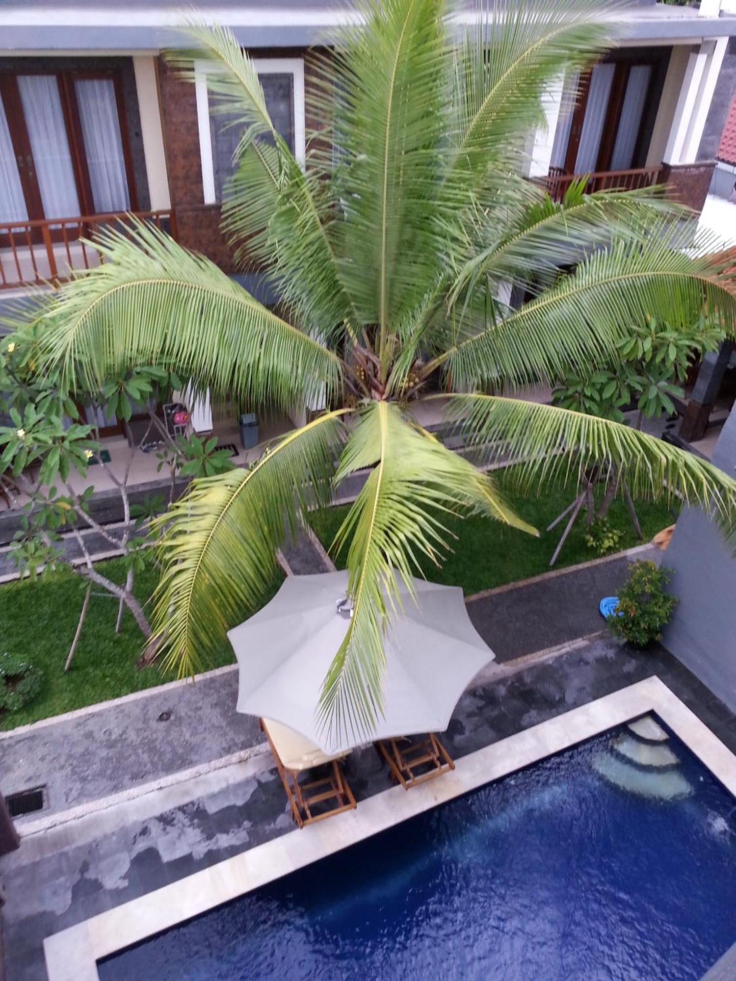 Dabumito Guest House Canggu  Ngoại thất bức ảnh